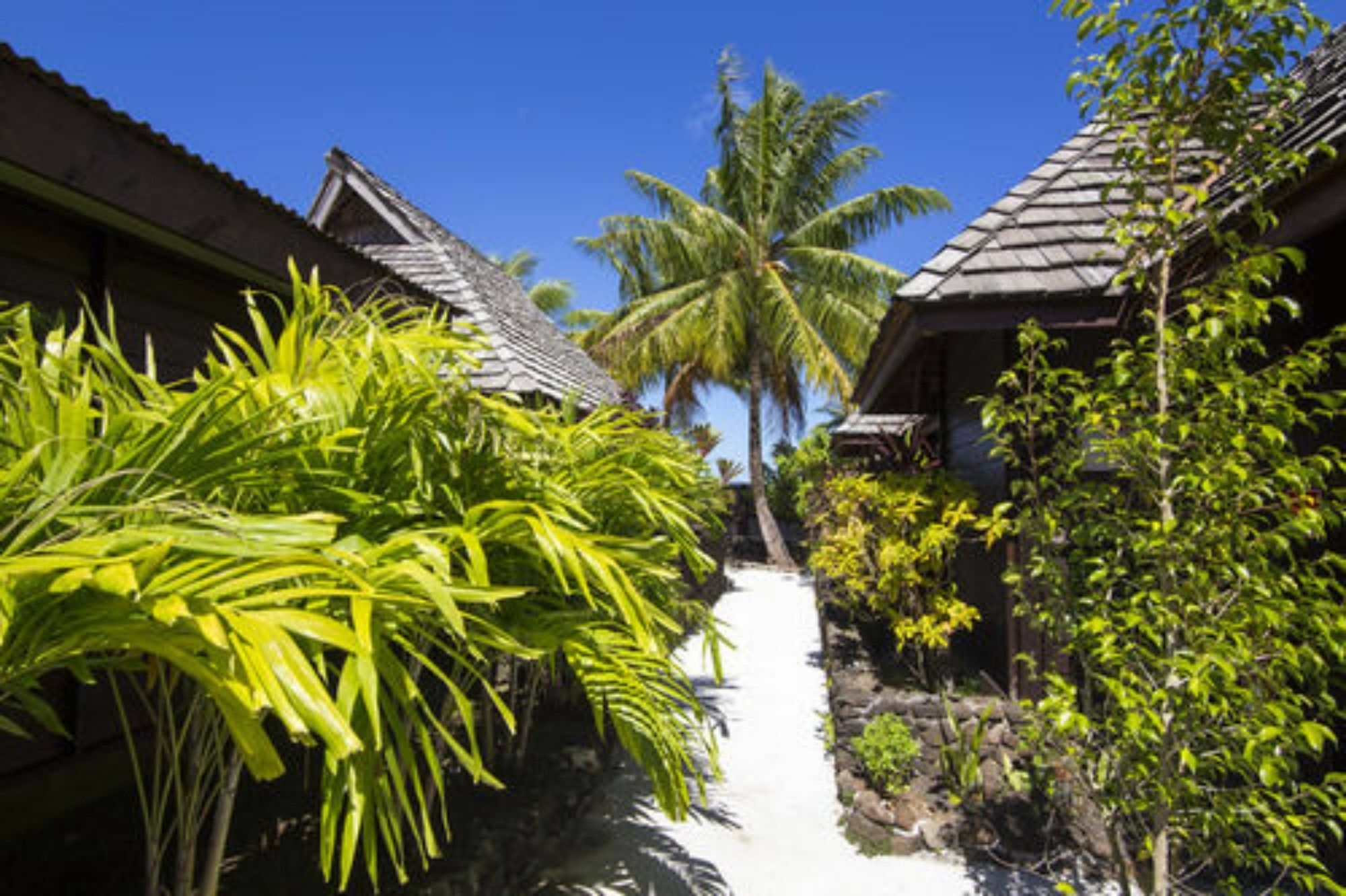 Oa Oa Lodge Bora Bora Exteriör bild