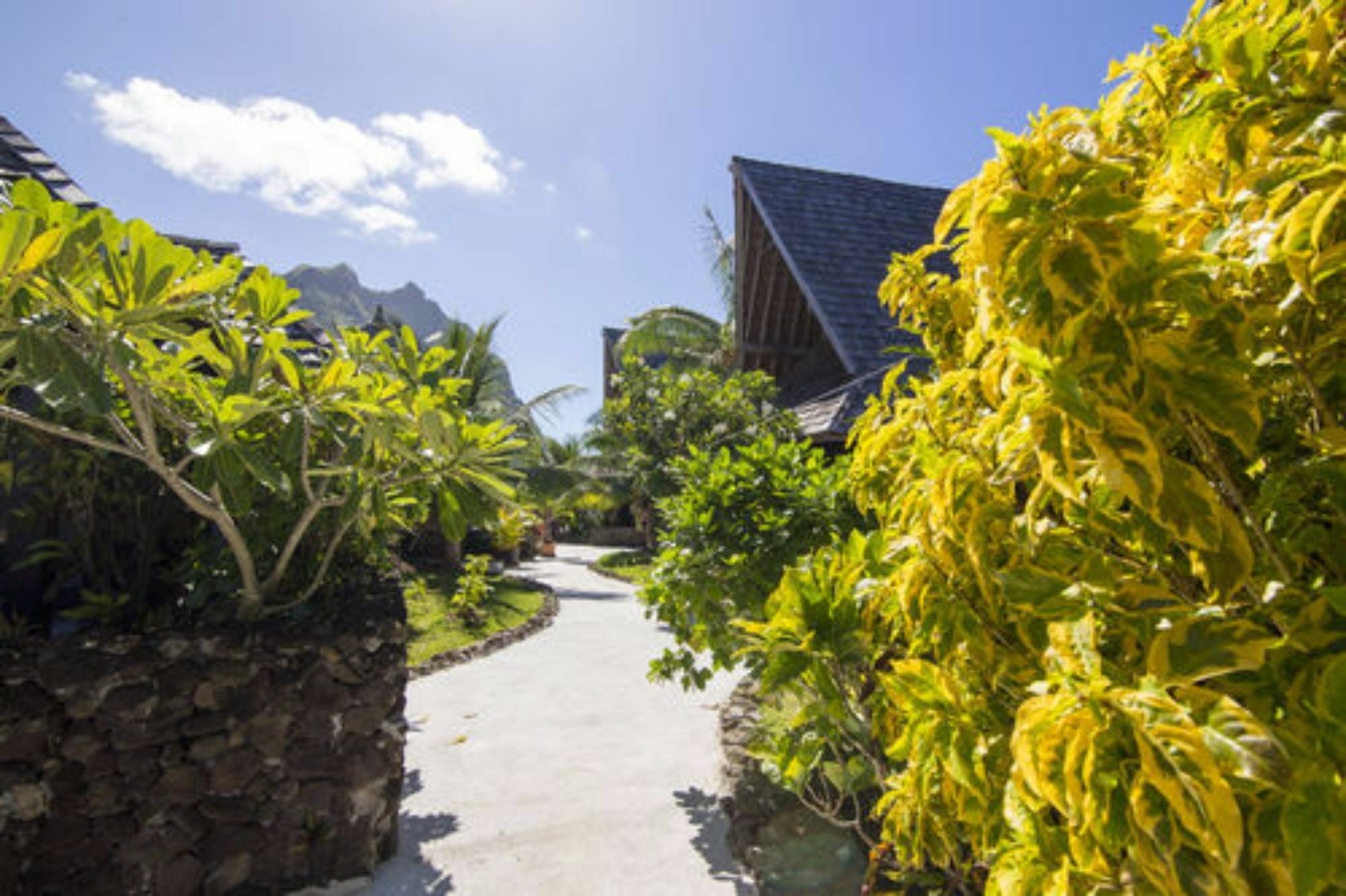 Oa Oa Lodge Bora Bora Exteriör bild
