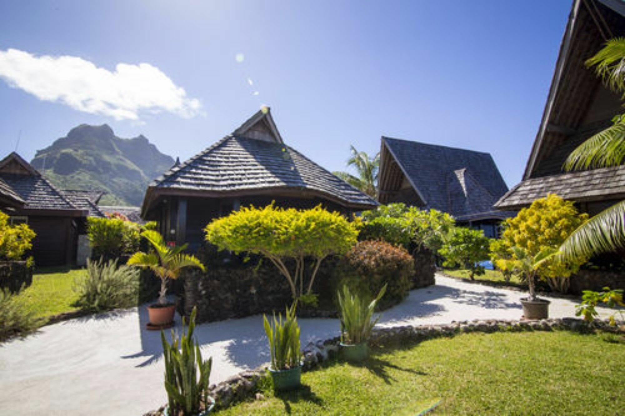 Oa Oa Lodge Bora Bora Exteriör bild