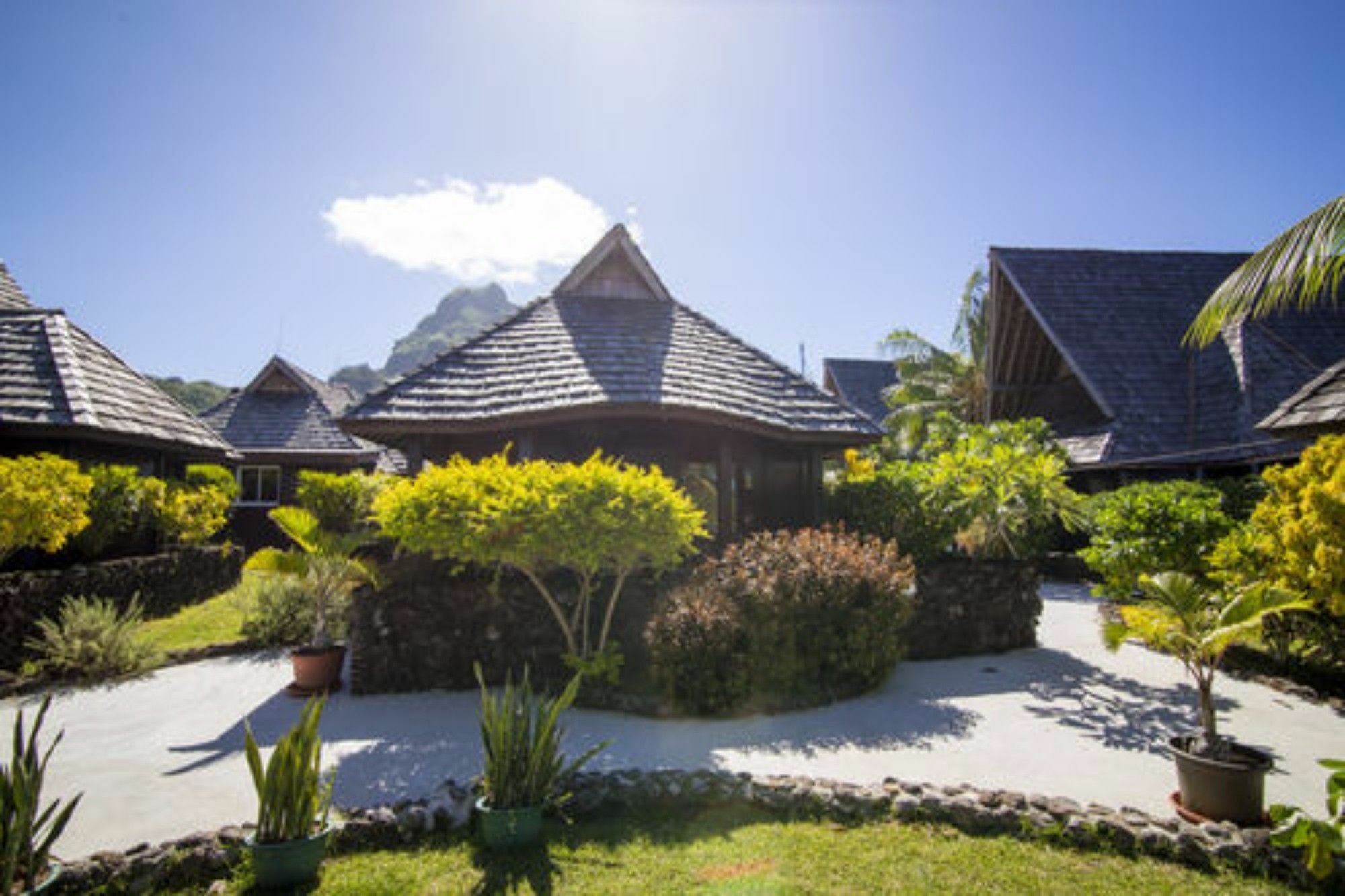 Oa Oa Lodge Bora Bora Exteriör bild