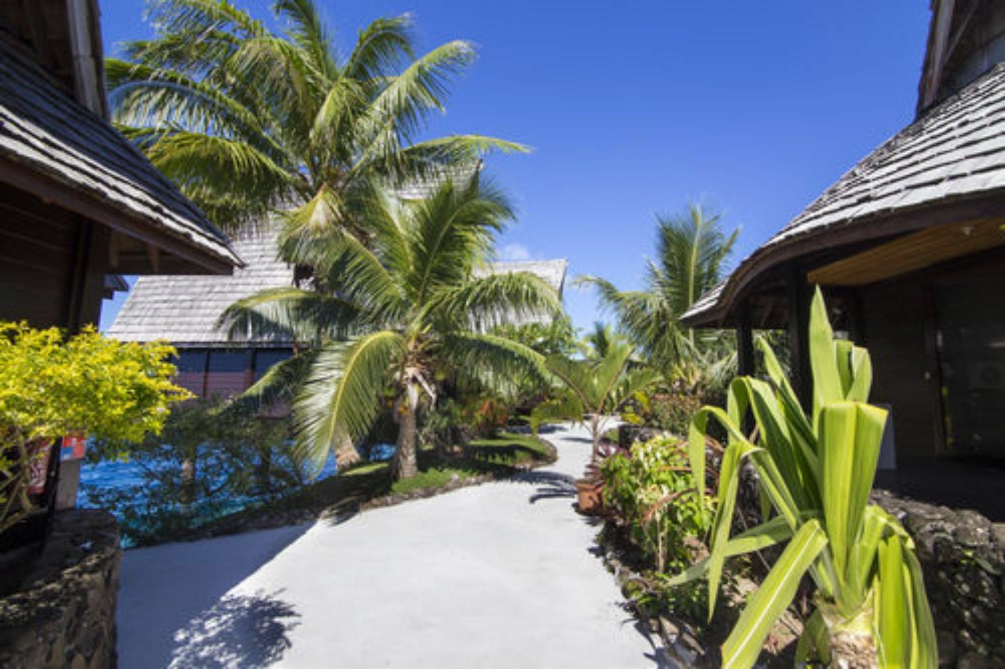 Oa Oa Lodge Bora Bora Exteriör bild