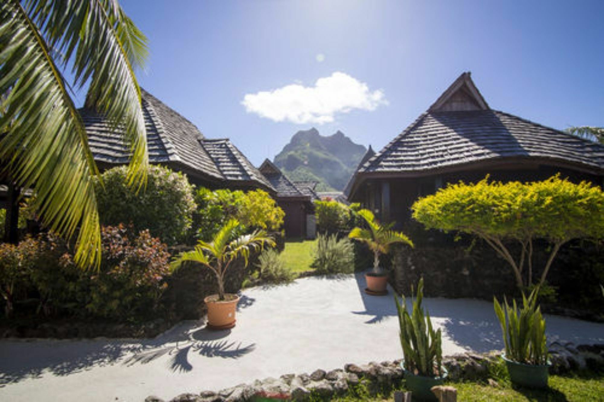Oa Oa Lodge Bora Bora Exteriör bild